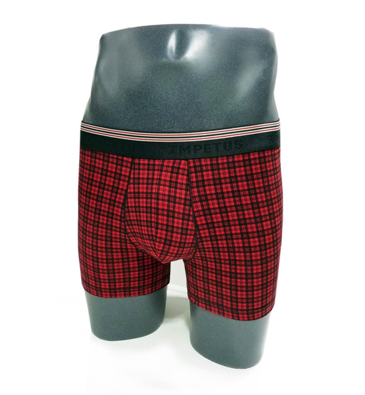 Boxer clearance de cuadros