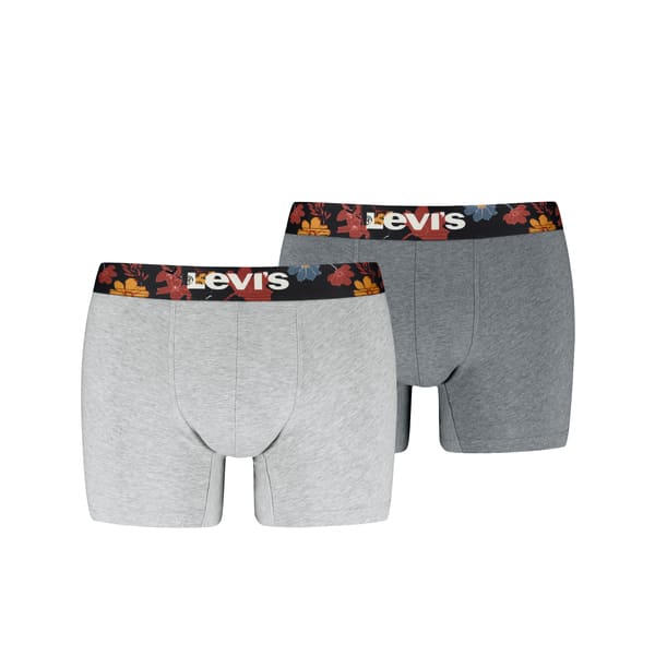 Oferta limitada: Pack 2 Boxers Levi's en gris de estilo juvenil a super precio para jóvenes.