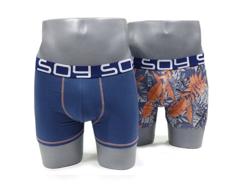 2 Pack Soy Underwear Boxer Wayward