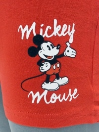 Boxer Admas Mickey Mouse