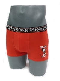 Boxer Admas Mickey Mouse