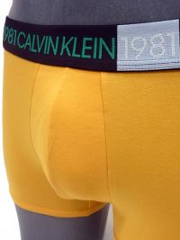 Boxer Calvin Klein algodón 1981 BOLD Naranja Calabaza