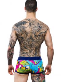 Boxer Discover Tucan