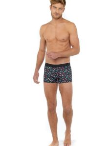 St Valentines Day boxer brief HOM