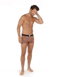 Boxer HOM x Herve Lenfoire con rosas rojas