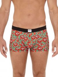 Boxer HOM x Herve Lenfoire con rosas rojas