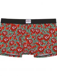 Boxer HOM x Herve Lenfoire con rosas rojas