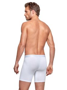 Comodidad sin Límites: Descubre los Calzoncillos Largos Impetus