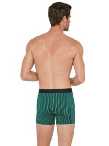 Boxer Impetus de Modal estampado vegetal mod. Lupin