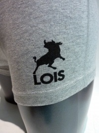 Boxer Lois Beach Gris