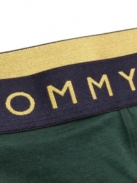 Boxer Tommy Hilfiger Trunk Verde