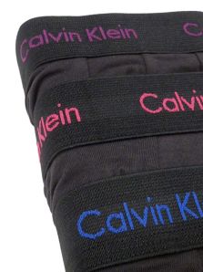 Pack Boxers Calvin Klein 1WJ