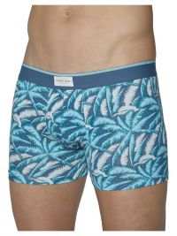 Pack Ysabel Mora Underwear Boxer estampado vegetal en azul