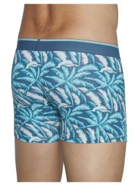 Pack Ysabel Mora Underwear Boxer estampado vegetal en azul