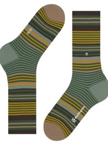 Exprésate con estilo con los alegres calcetines Burlington Stripe en verde.