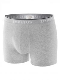 Boxer Impetus Organic Cotton en gris