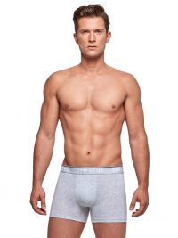 Boxer Impetus Organic Cotton en gris