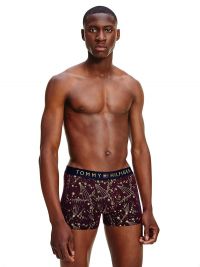 Boxer Tommy Hilfiger Organic Cotton Constelaciones - Ed. Navidad