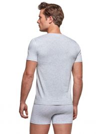 Camiseta cuello pico Impetus Organic Cotton en gris