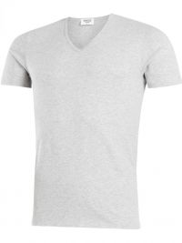 Camiseta cuello pico Impetus Organic Cotton en gris