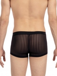 Boxer HOM Temptation Pulsar