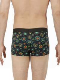 Boxer HOM Tropicos