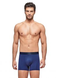 Boxer Impetus Volterra Modal Strech