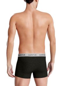 Disfruta del verano con el calzoncillo Impetus, ¡compra ya y regala estilo!
