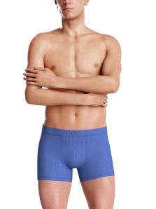 Estuche Impetus para hombre, perfecto para regalar: calzoncillo en negro liso y otro en azul a rayas, ambos en Lyocell de tacto suave.