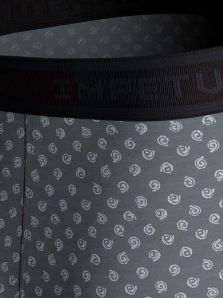 Perfecto para el verano: el pack de 2 calzoncillos Impetus estampados en gris.