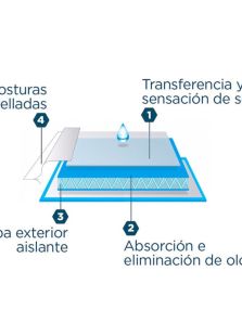 Impetus: calzoncillos para incontinencia cómodos y discretos.