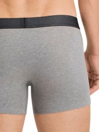 Pack 2 Boxers Levi´s en gris y negro