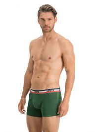 Pack 2 Boxers Levi´s lisos en verde y gris