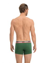 Pack 2 Boxers Levi´s lisos en verde y gris