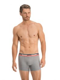 Pack 2 Boxers Levi´s lisos en verde y gris