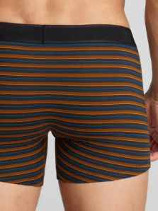 Boxers Levi´s a rayas en tonos azules con marron