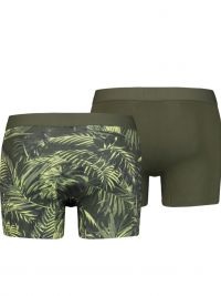 Pack 2 Boxers Levi´s estampado tropical en verde