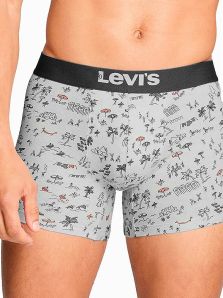 Comprar packs de Levi´s underwear for young peolple