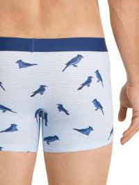 Pack 2 Boxers Levi´s milrayas en azul 