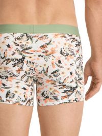 Pack 2 Boxers Levi´s estampado Parrot Paradise