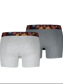 Oferta exclusiva online: Pack 2 Boxers Levi's en gris de estilo juvenil, ¡hazte con él!