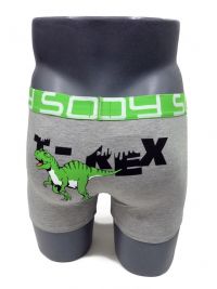 2 Pack Soy Underwear Boxer Rex Dinosaurio