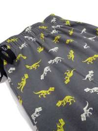 Pijama Soy Underwear T-rex