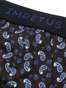 Slip para hombre de Impetus Underwear