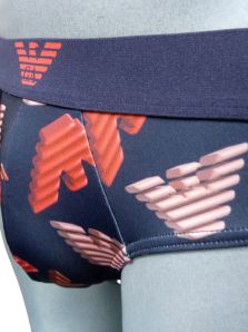 Compra el Slip Emporio Armani, estilo y calidad garantizados.