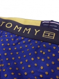 Boxer Tommy Hilfiger Gift Gold