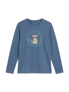 Camiseta lisa de hombre con mapache engomado