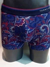 Boxer Tommy Hilfiger Cashmere Pash Trunk